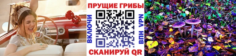 mega ссылка  Казань  Галлюциногенные грибы Cubensis 